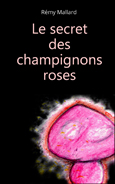 livre_nouvelle_le_secret_des_champignons_roses_couverture_002_tn